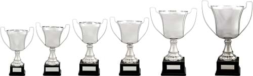 Amazing Value Traditional Trophy Cups 2185 Series Amazing Value Traditional Trophy Cups 2185 Series